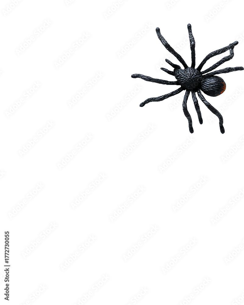 Obraz premium Spider Silhouette: A detailed macro shot captures a black spider, showcasing its unique form. The spider's silhouette is cast, revealing intricate details of its body and legs.