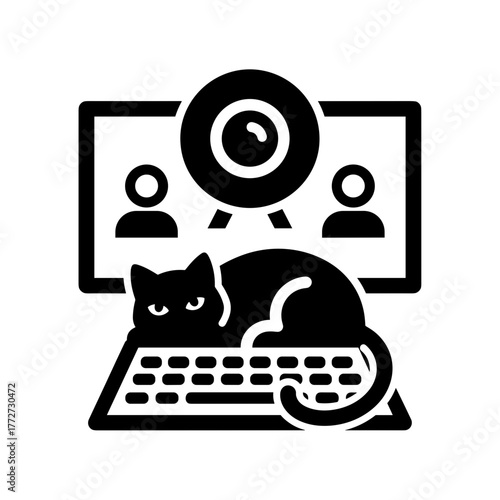 Cat on computer keyboard during online meeting, remote work and pet distraction at home office