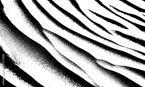 Abstract Black and White Pattern of Sand Dunes, Desert Landscape