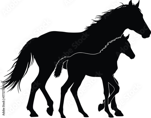 Silhouette of horse and foal walking together on white background, symbol of motherhood, animal love, countryside life, nature and freedom