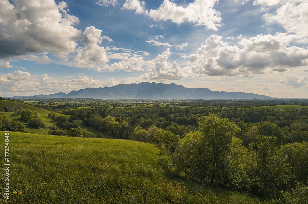 Obraz premium Scenic outlook from elevated terrain