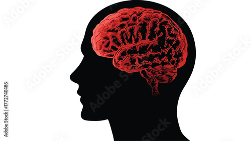 Black Silhouette Human Head Red Brain Vector Illustration