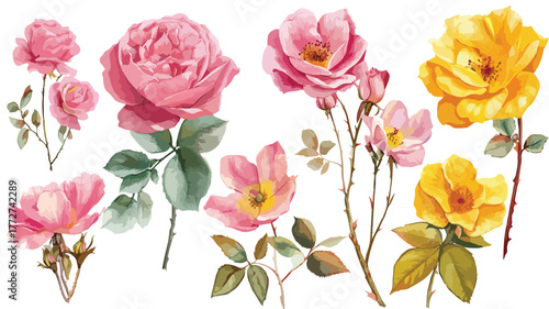 Beautiful Collection of Pink Roses and Flowers in Pink and Yellow