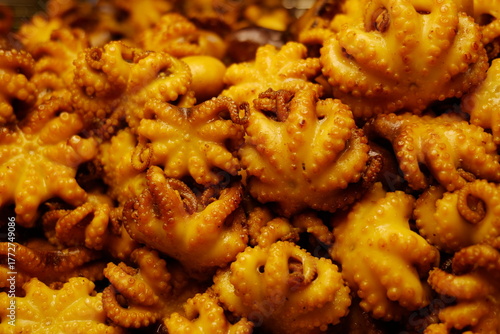 close up of fresh shrimp