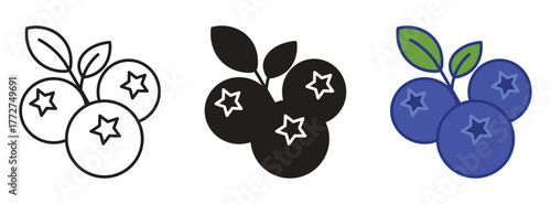 Blueberries icon .Fresh berries. Healthy fruits contain antioxidants. Blueberries icon set in silhouette, colored and linear. Isolated blueberry on white background,
vector illustration.