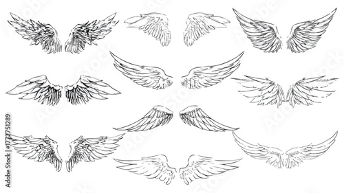 Feathered Avian Wings Vector Set for Professional Designs