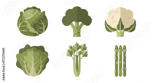Fresh green veggies collection featuring cabbage, broccoli, cauliflower, lettuce, celery, and asparagus
