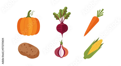 Colorful set of fresh vegetables in flat design for culinary themes