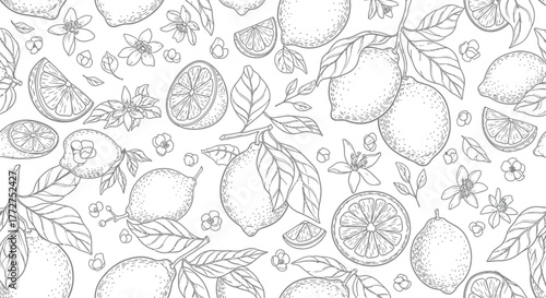 Delicate hand-drawn pattern of fresh lemons, leaves, and blossoms on a clean white background.
