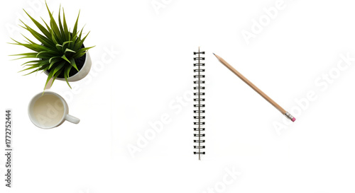 Desk setup plant drink open notebook pencil