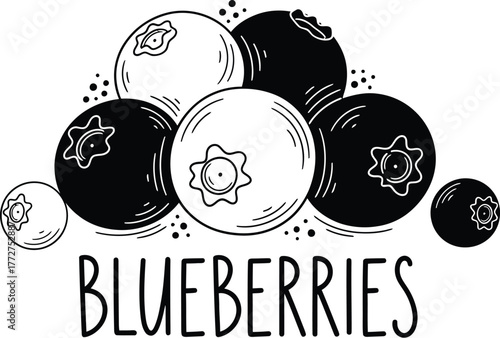 Fresh blueberries illustration with hand-drawn style and natural appeal