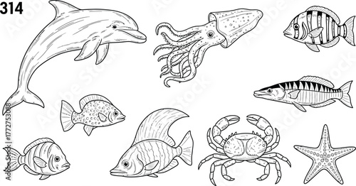 Collection of marine life illustrations including a dolphin, squid, various fish, crab, and starfish.