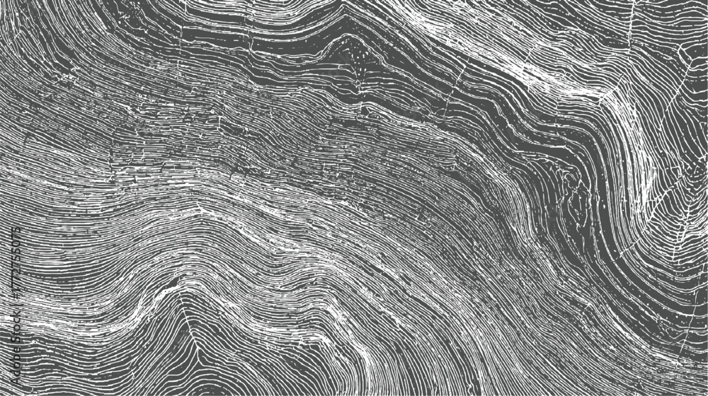 Abstract grayscale topographic lines pattern with organic curves and textured details background
