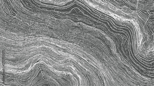 Abstract grayscale topographic lines pattern with organic curves and textured details background