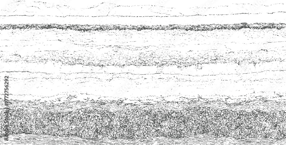 Black and white textured horizontal stripes with organic patterns and wavy lines abstract background