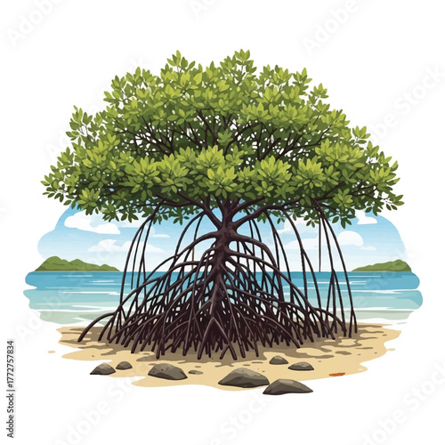 a tropical mangrove featuring sturdy roots and leafy green branches