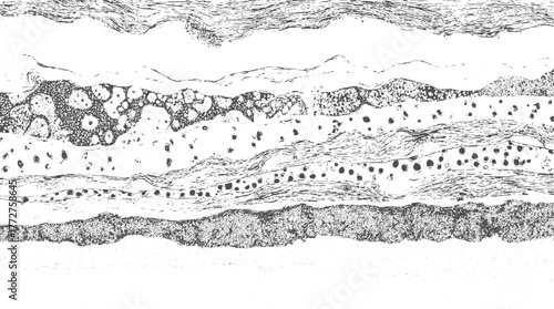 Black and white abstract cross section with layered textures and circular shapes pattern