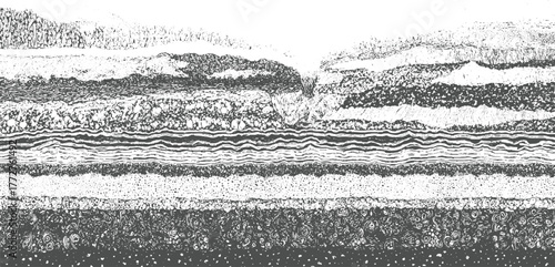 Black and white graphic illustration of geological strata with varied textures and patterns abstract
