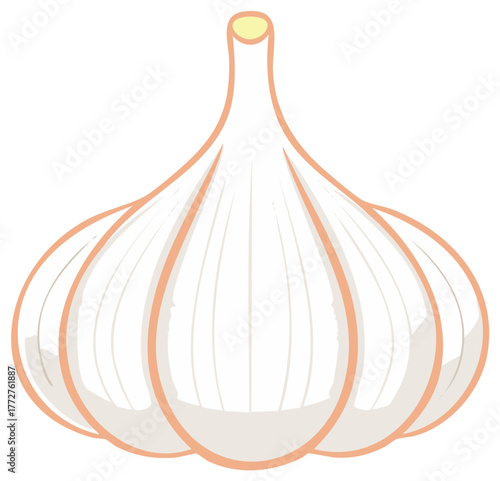 Stylized illustration of a garlic bulb, a cooking ingredient, in flat design