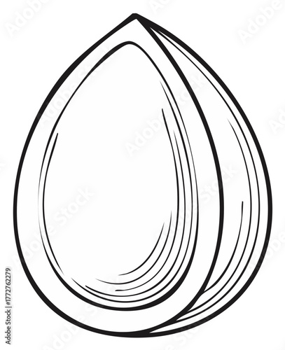Hand-Drawn Almond Outline, Edible Nut, Shell Isolated on White, Vegan Food