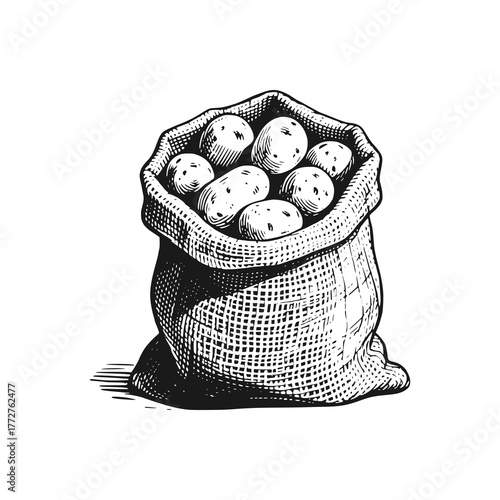 A sack of potatoes. Black white vector illustration.
