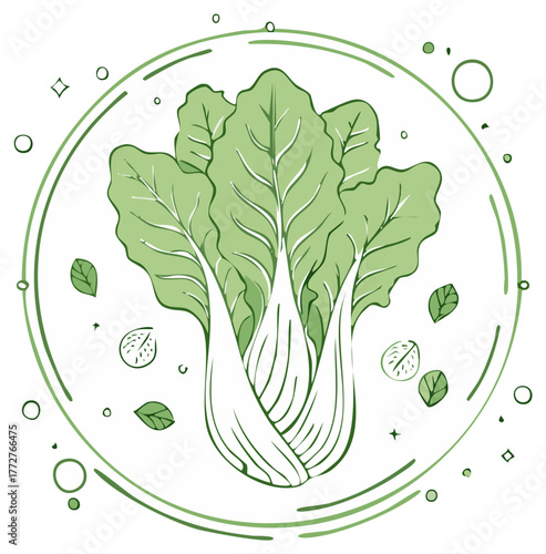Green Bok Choy Vegetable Illustration with Decorative Border Elements