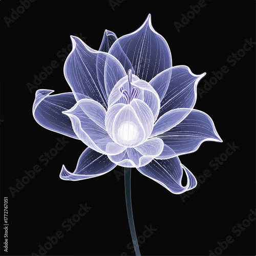 a delicate bioluminescent bloom on a slender stem, radiating soft light through clear petals