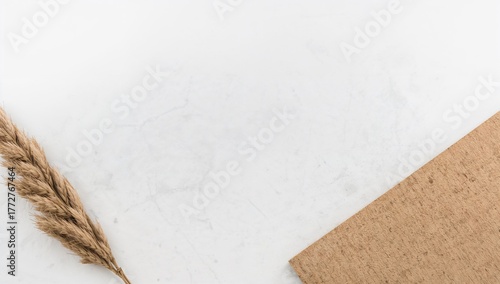White textured paper backdr...