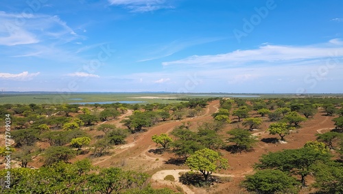 Photo showcasing a hidden outdoor area featuring creative off-road travel layouts and vegetation, a rare instance