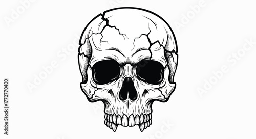 Detailed black and white vector of a cracked human skull with sharp teeth