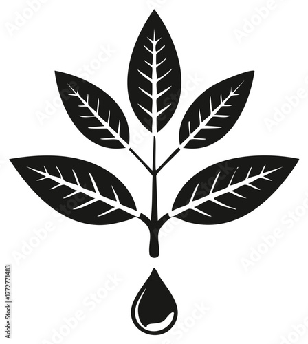 Leaf plant with a water droplet symbolizing natural growth and hydration