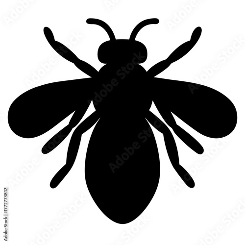 Silhouette of a bee with delicate wings and small antennae on white