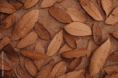 Texture of desiccated brown...