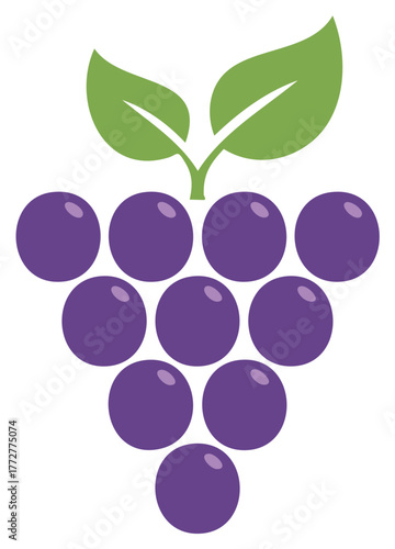 Purple grapes still life in flat design with green leaves top for decorative purposes