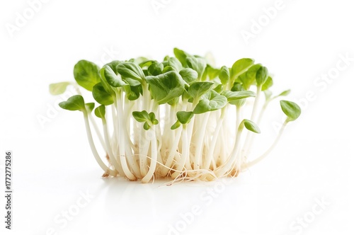 Close-up of fresh sweet pot...
