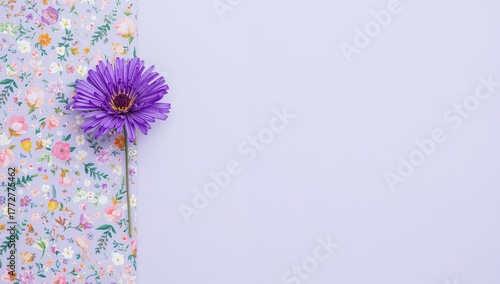 Vibrant aster blooms on a s...