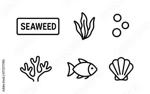 Minimalist sea life icons set featuring seaweed, fish, shell