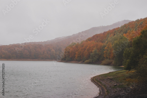 Autumn in the forest