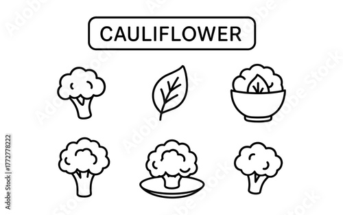 Cauliflower outline icons set in minimalistic black and white