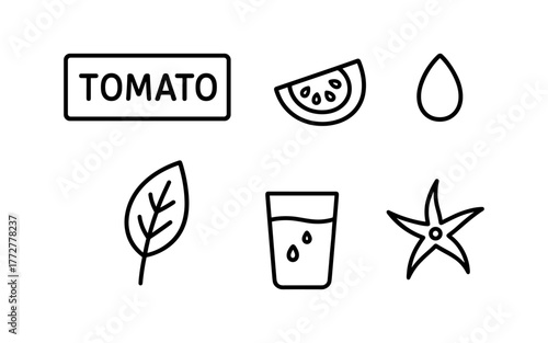 Minimalist tomato icon set with slices, leaf, and water drop