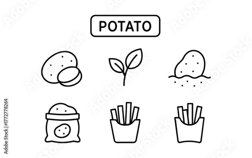 Linear icons of potatoes and derivatives: fries, plant, harvest, chips