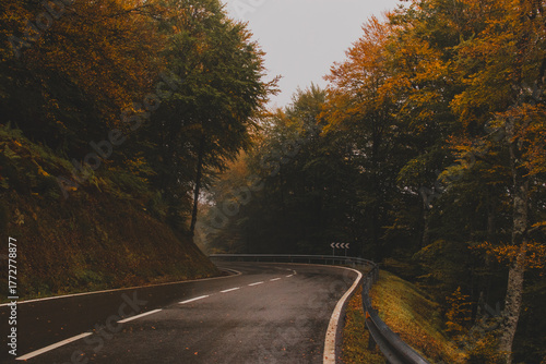 Autumn in the forest