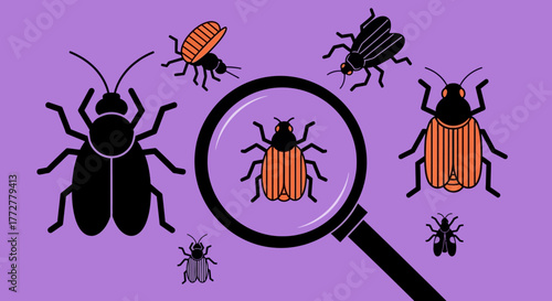 A conceptual vector illustration depicting entomology research with magnifying glass and beetle