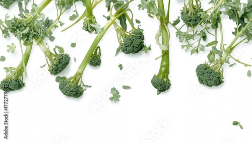 Broccoli stems and leaves c...