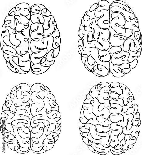 Human Brain Line Art Anatomy Medical Illustration Bundle