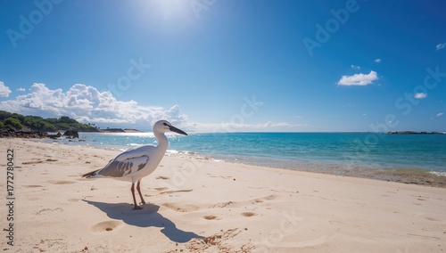 Seagull standing on sandy shore under clear blue sky