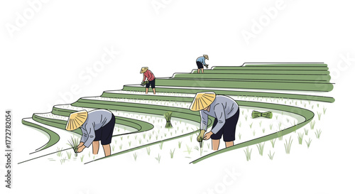 Farmers working diligently on terraced rice paddies in a rural landscape