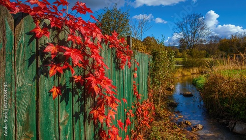 Bright Crimson Foliage Scal...