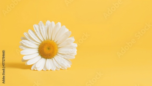 Stunning blooms set against...