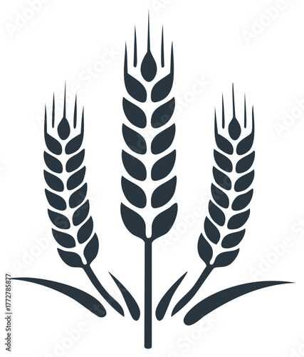Elegant graphic design of three wheat stalks for organic farming and natural produce concepts